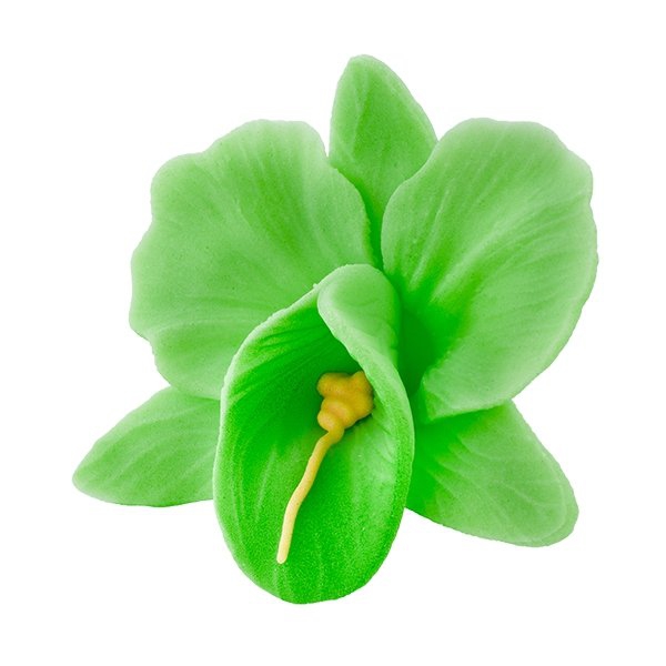 Storczyk kwiat cukrowy na tort 6cm zielony 1szt 