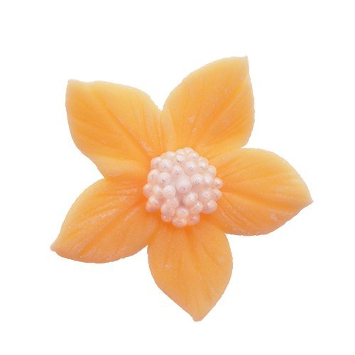  Płomyk herbaciany opak. 8 x 10 szt.