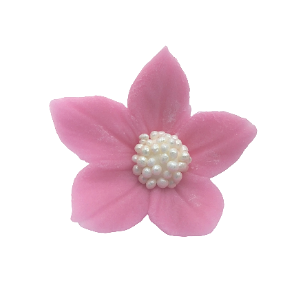 Płomyk wrzosowy (3 x 10 szt)