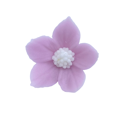 Płomyk lawendowy jasny (3 x 10szt)