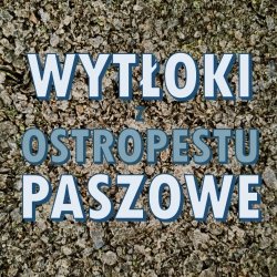  wytłoki z ostropestu paszowe worek 50 kg