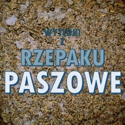   wytłoki z rzepaku paszowe worek 50 kg