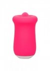 Sugar Craze Pink