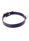 Fetish B -  Series Collar  2cm Red Line