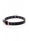 Fetish B - Series - Collar 2 cm gold crystal