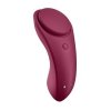 Sexy Secret Panty Vibrator