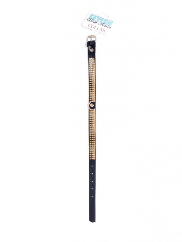 Fetish B - Series Collar with crystals 2 cm gold