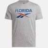 Reebok t-shirt szary bawełniany męski koszulka duży napis