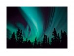 Northern Lights - reprodukcja