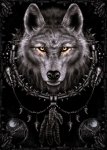 Spiral (Wolf Dreams) - plakat