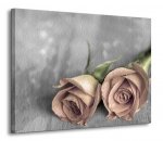 Obraz na płótnie - Kwiaty - Samotne róże BW - 90x120 cm