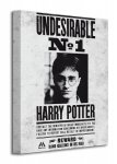 Harry Potter (Undesirable No.1) - Obraz na płótnie