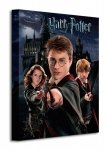 Harry Potter (Harry Ron Hermione) - Obraz na płótnie