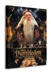 Obraz do sypialni - Harry Potter (Dumbledore)