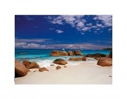 Seychelles - kamienie na plaży - reprodukcja