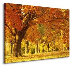 Jesienny kajobraz - Obraz na płótnie