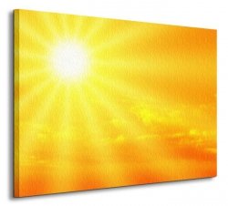Słonecznie - Obraz na płótnie