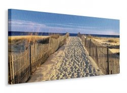 Pathway to the Beach - Obraz na płótnie