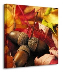 Jesień, żołędzie  - Obraz na płótnie