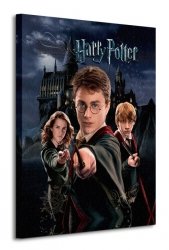 Obraz na płótnie - Harry Potter (Harry Ron Hermione)