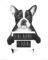 Being Normal is Boring - reprodukcja