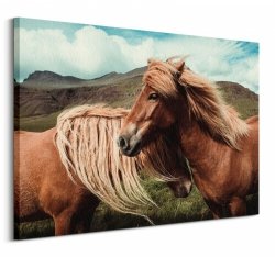 Obraz na scianę - Horses with mane