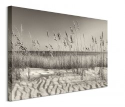 Dune Grass - obraz na płótnie