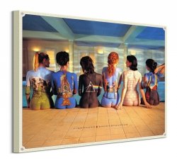 Pink Floyd Albumy - obraz na płótnie