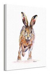 Biegnący królik - obraz na płótnie