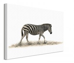 The Zebra - obraz na płótnie