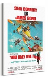 James Bond You Only Live Twice - obraz na płótnie