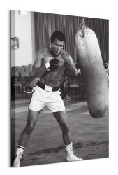 Muhammad Ali Punch Bag - obraz na płótnie