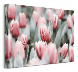 Obraz na ścianę - Różowe tulipany - 30x40 cm