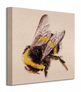 Bee - Obraz na płótnie