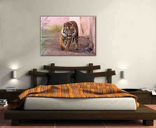 Aranżacja - Obraz ścienny - Tygrys alfa - 120x90 cm - Dekoracje na ścianę - Sklep DecoArt24.pl