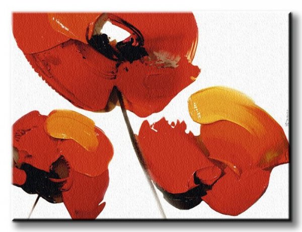 Three Poppies - White - Obraz na płótnie