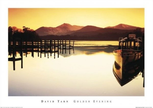 David Tarn (Golden Evening) - reprodukcja
