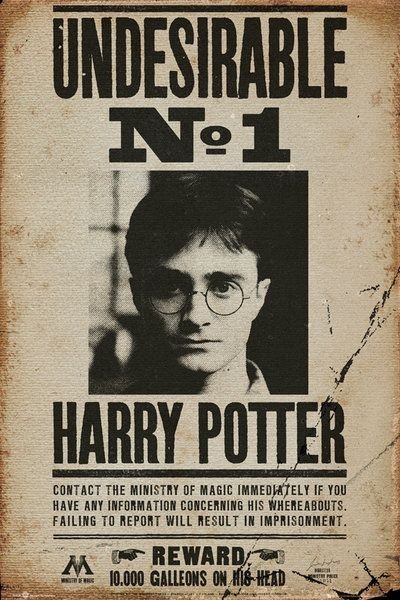 Harry Potter Undesirable No 1 - plakat