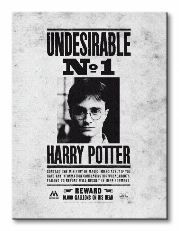 Obraz na płótnie - Harry Potter (Undesirable No.1)