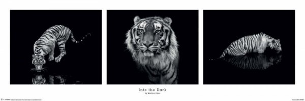 Into the Dark - plakat