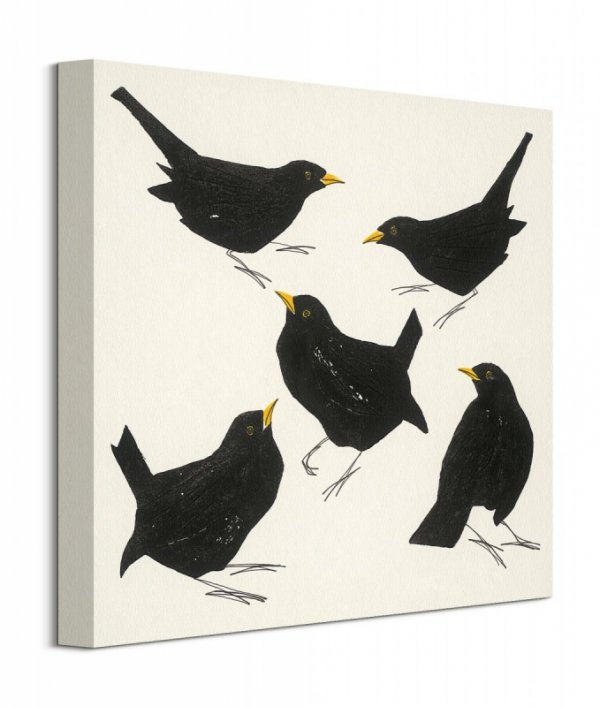 Blackbirds - obraz na płótnie