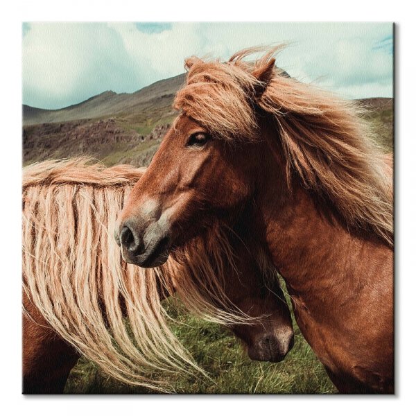Horses with mane - obraz na płótnie