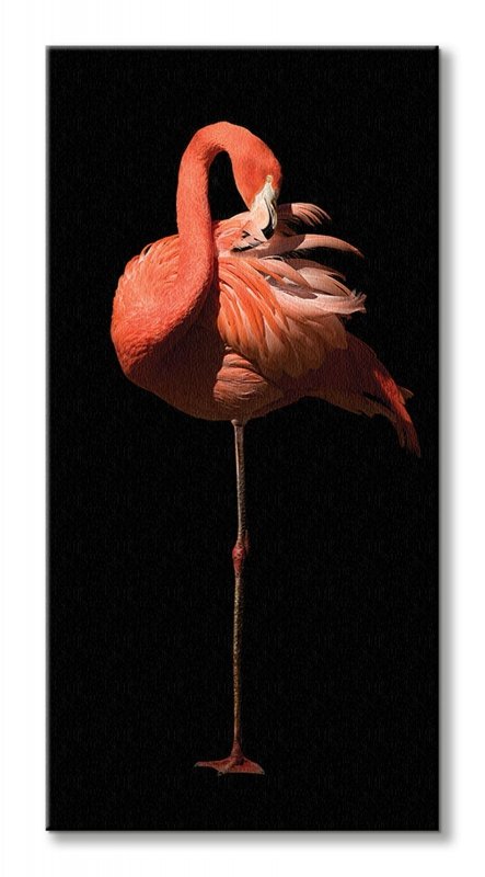 Flamingo II - obraz na płótnie