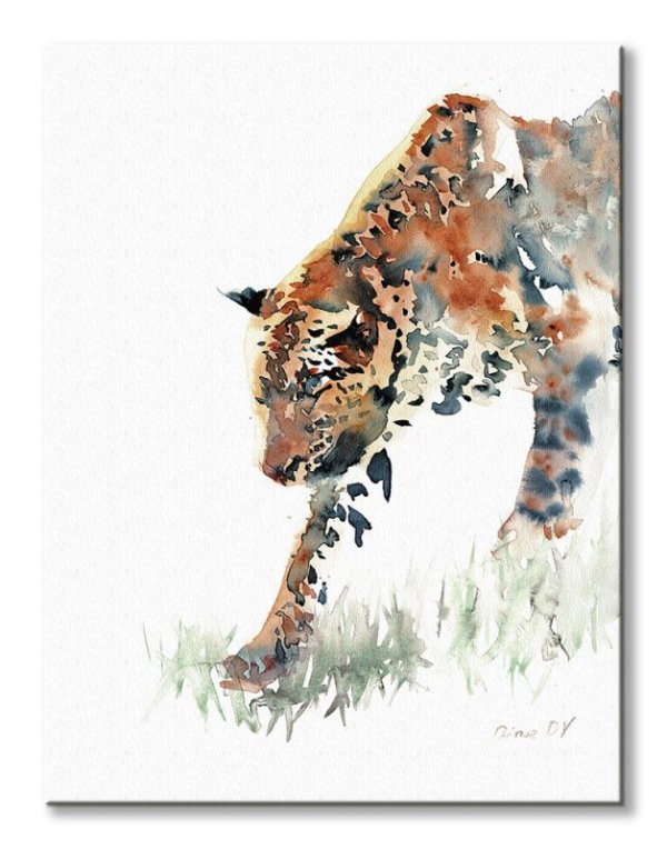 Gepard - obraz na płótnie