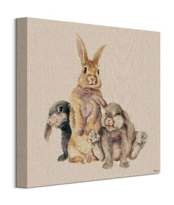 Trzy króliczki - obraz na płótnie
