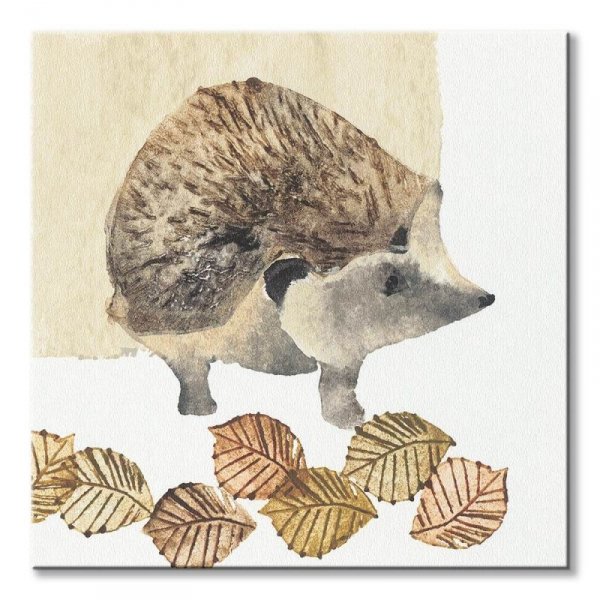 Hedgehog - obraz na płótnie