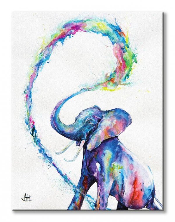 Kolorowy Słoń - obraz na płótnie