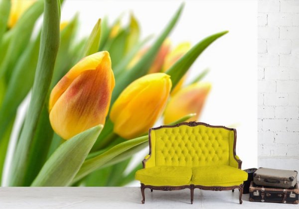 Fototapeta Żółte tulipany - Fototapety na ścianę z kwiatami sklep