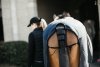KENTUCKY TAIL GUARD&BAG Ochraniacz na ogon z torbą