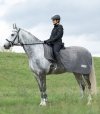 WALDHAUSEN COMFORT Derka treningowa siatkowa przeciw owadom